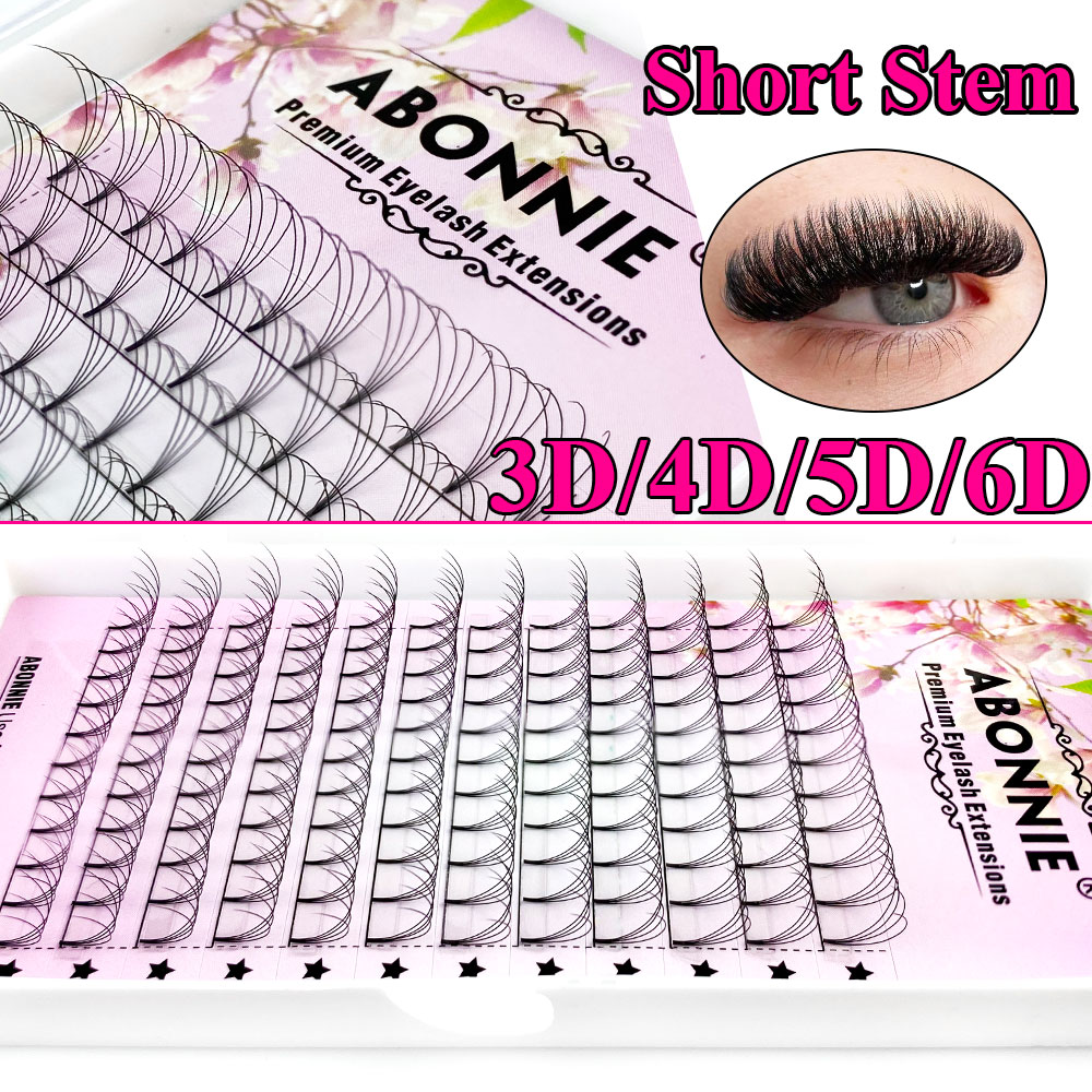 Abonnie 6D Узкие пучки-вентиля – обзор и цена Eyelash Extension Russian